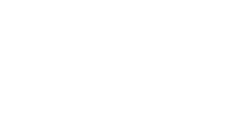 Logo_Pioneer_Stone_White