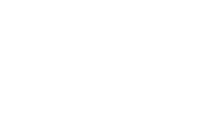 Pioneer Stone hand Crafted Stone Veneer